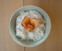 20050121.jpg